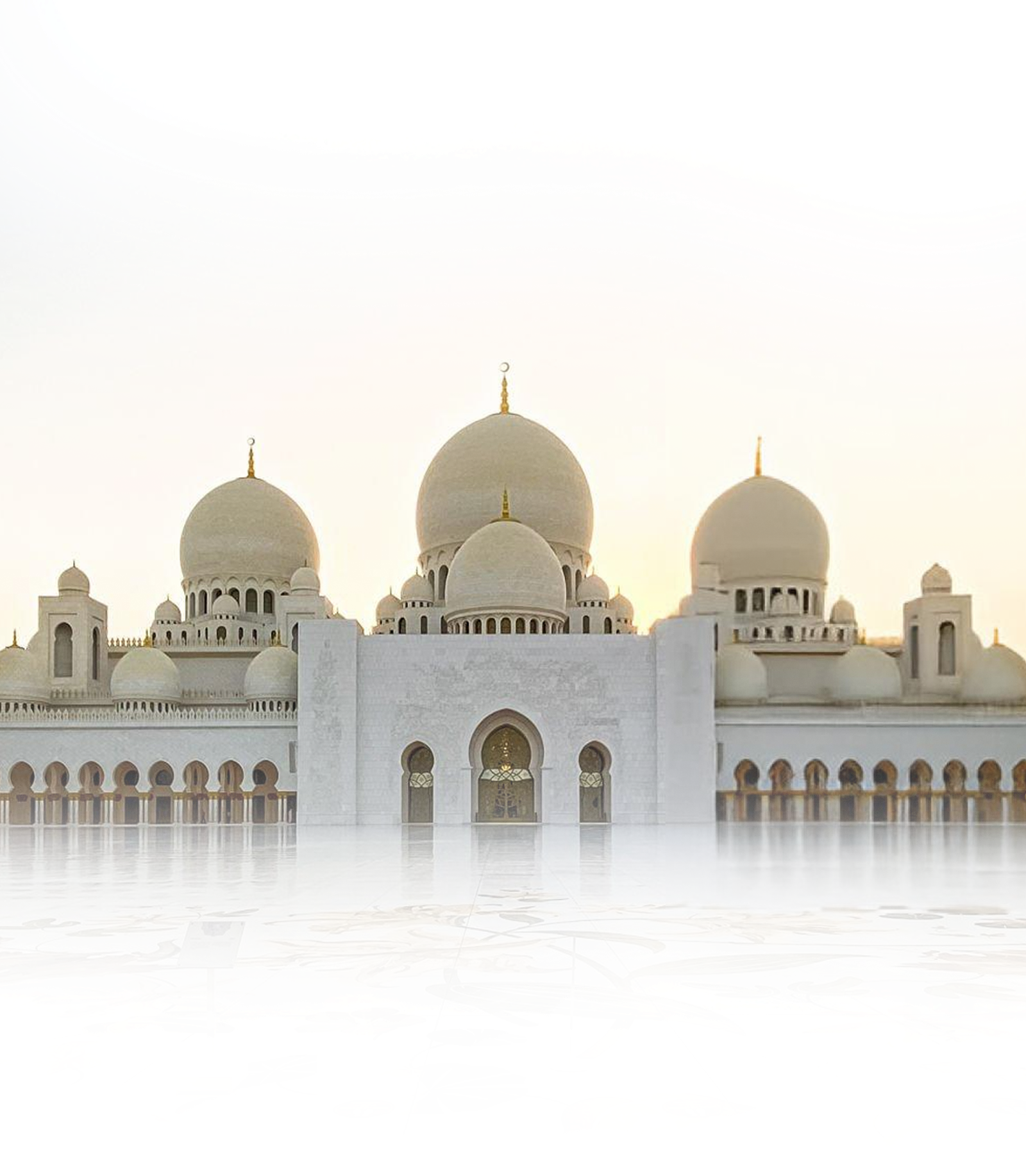 Our Children Our Future